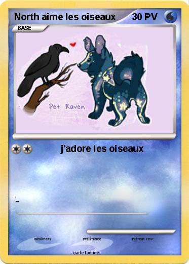 Pokemon North aime les oiseaux