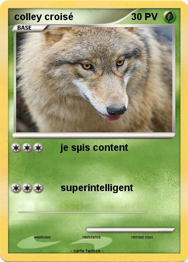 Pokemon colley croisé