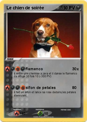 Pokemon Le chien de soirée