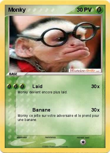 Pokemon Monky