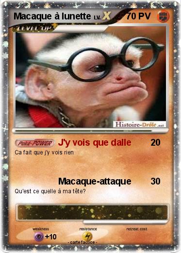 Pokemon Macaque à lunette