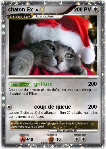 Pokemon chaton Ex