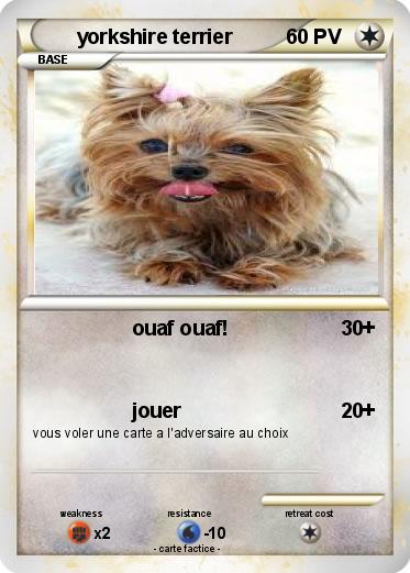 Pokemon yorkshire terrier