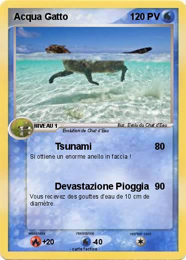 Pokemon Acqua Gatto