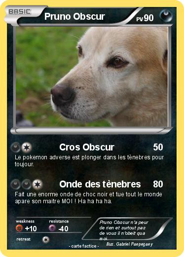 Pokemon Pruno Obscur