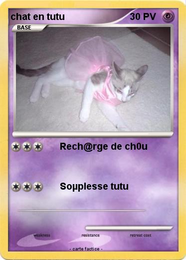 Pokemon chat en tutu