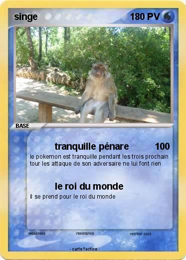 Pokemon singe