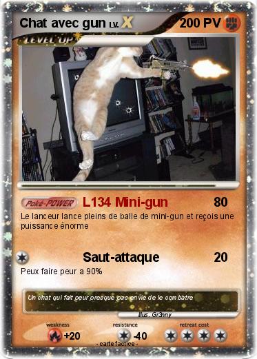 Pokemon Chat avec gun