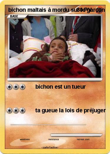 Pokemon bichon maltais à mordu sur le garçon