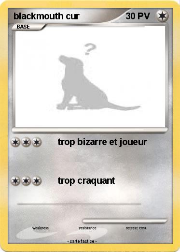 Pokemon blackmouth cur