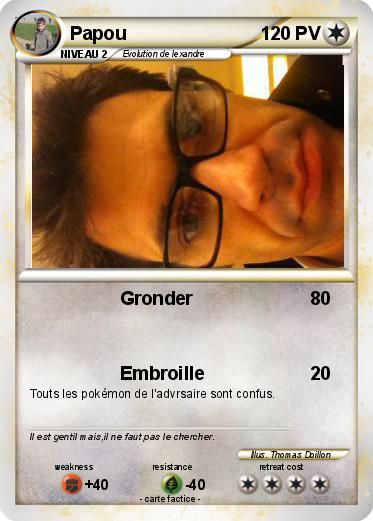 Pokemon Papou