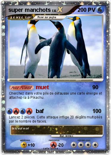 Pokemon super manchots