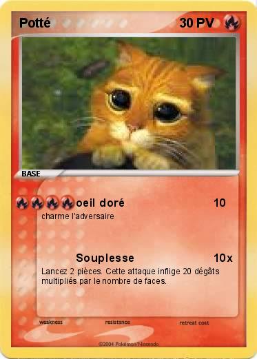 Pokemon Potté