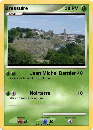 Pokemon Bressuire