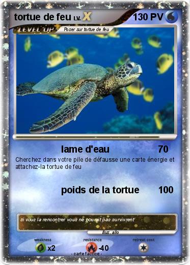 Pokemon tortue de feu