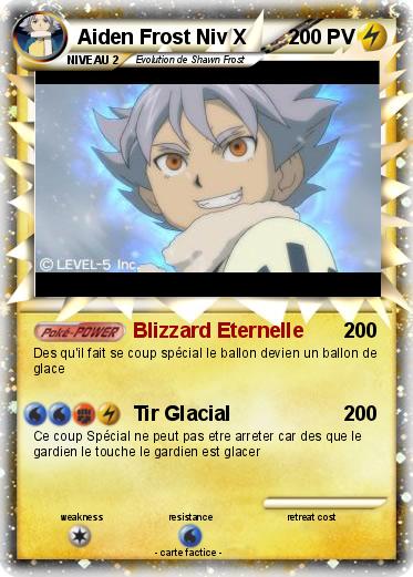 Pokemon Aiden Frost Niv X
