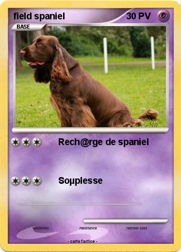Pokemon field spaniel