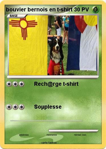 Pokemon bouvier bernois en t-shirt