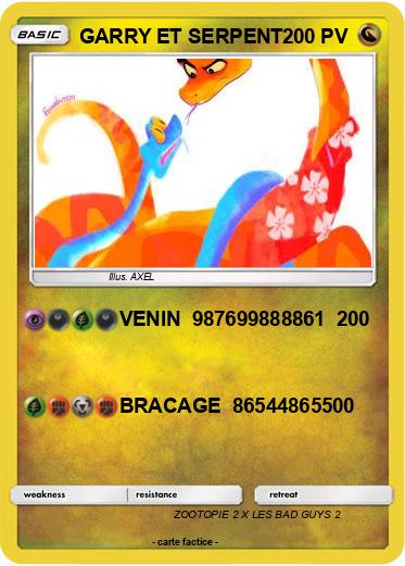 Pokemon GARRY ET SERPENT