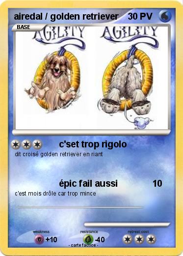 Pokemon airedal / golden retriever
