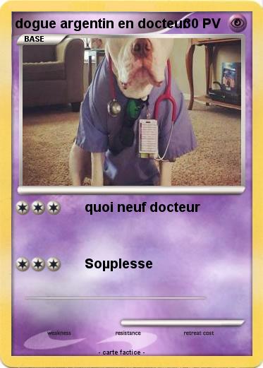 Pokemon dogue argentin en docteur