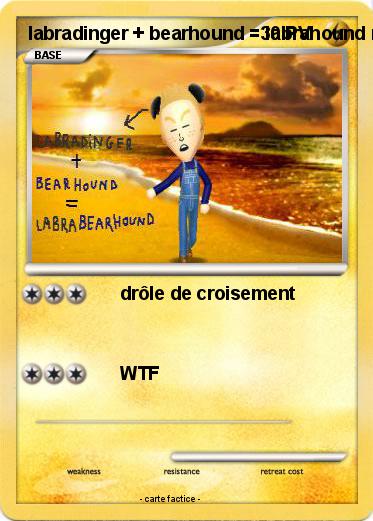 Pokemon labradinger + bearhound = labrahound mix
