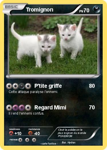 Pokemon Tromignon