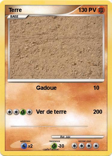Pokemon Terre