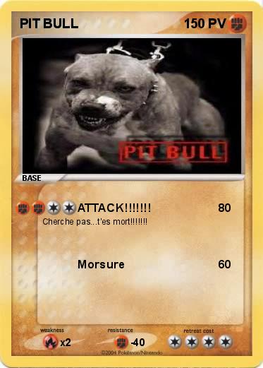 Pokemon PIT BULL