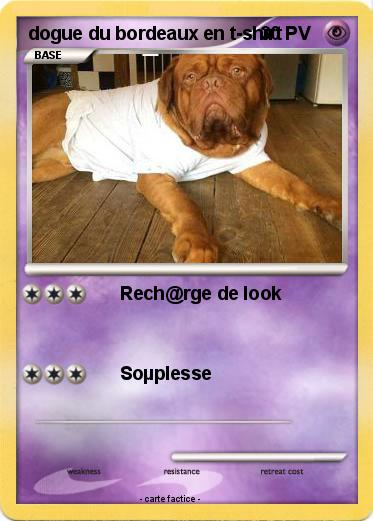 Pokemon dogue du bordeaux en t-shirt