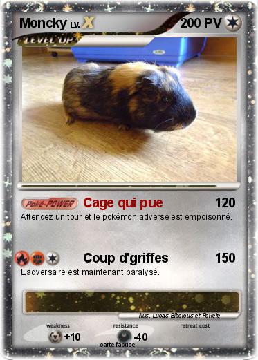 Pokemon Moncky