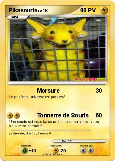 Pokemon Pikasouris