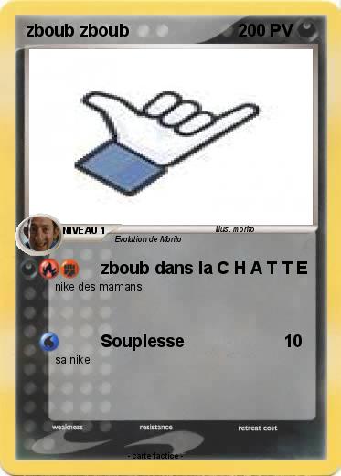 Pokemon zboub zboub