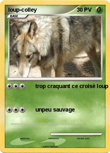 Pokemon loup-colley
