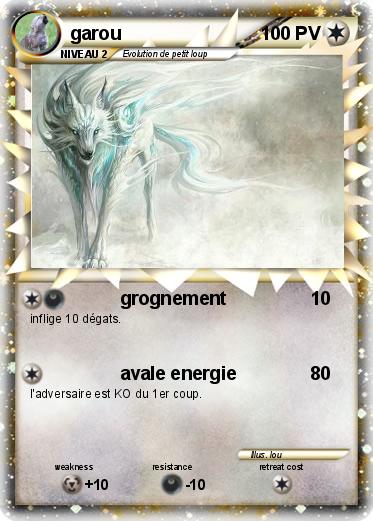 Pokemon garou