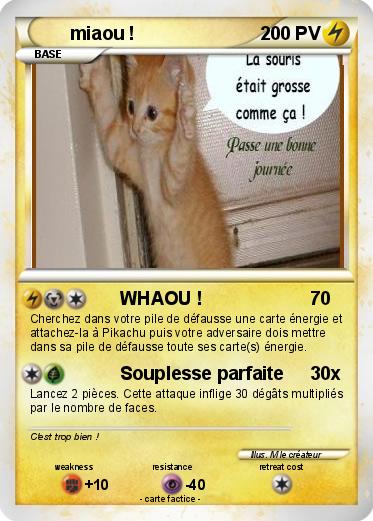 Pokemon miaou !
