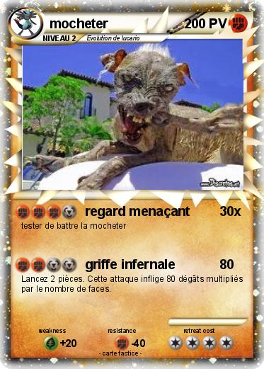 Pokemon mocheter