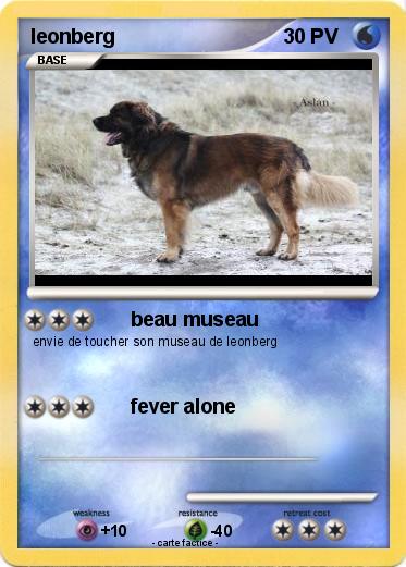 Pokemon leonberg