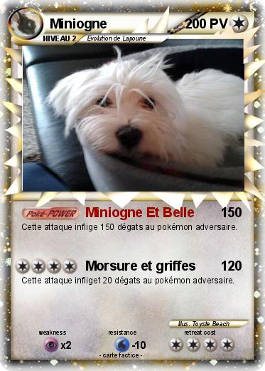 Pokemon Miniogne