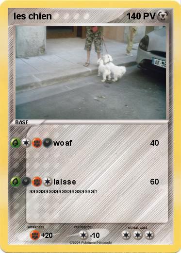 Pokemon les chien