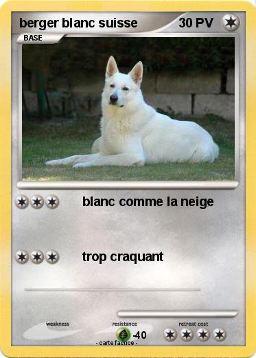 Pokemon berger blanc suisse