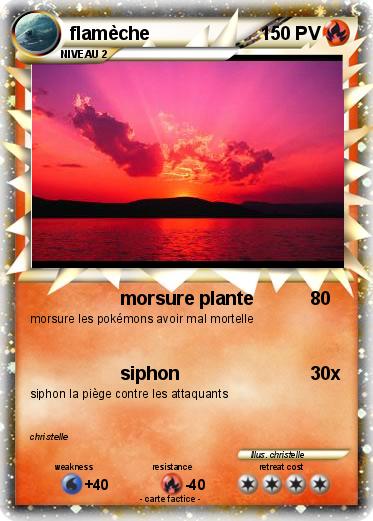 Pokemon flamèche