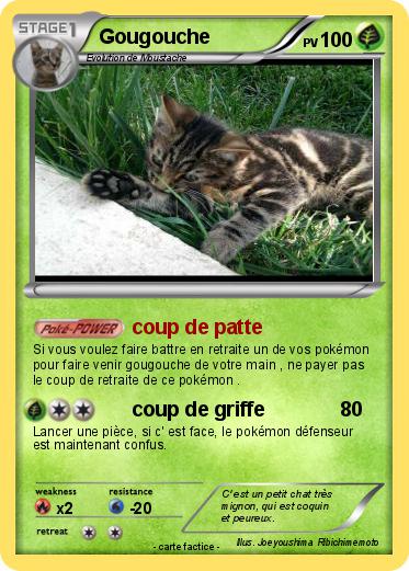 Pokemon Gougouche
