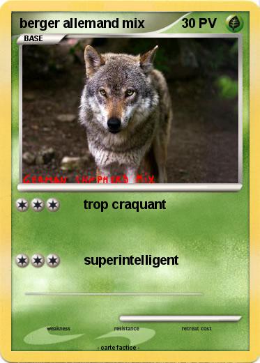 Pokemon berger allemand mix