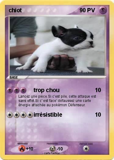 Pokemon chiot