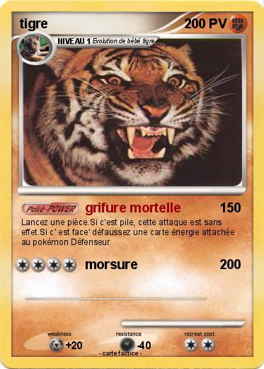 Pokemon tigre