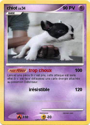Pokemon chiot