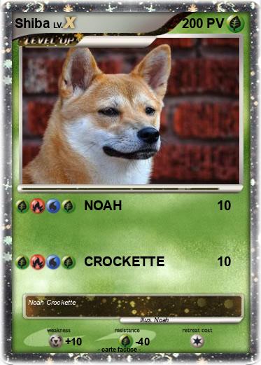 Pokemon Shiba