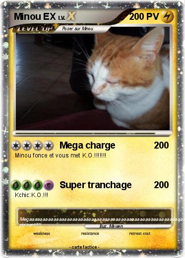 Pokemon Minou EX