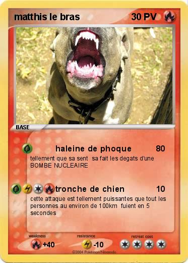 Pokemon matthis le bras